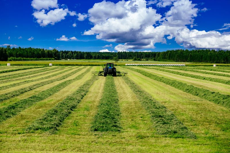 Increase Your Acreage Mowing Business with an AI Driven, Targeted Website