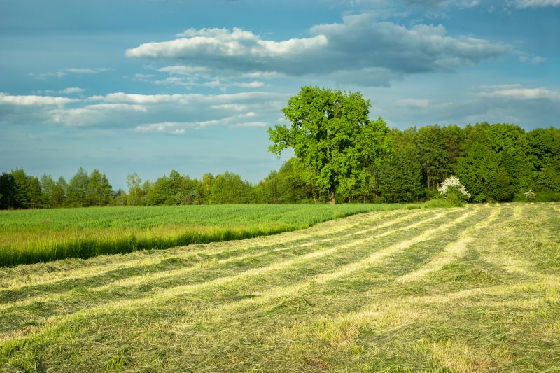Acreage Mowing