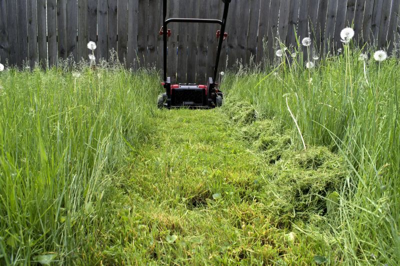 Mowing Equipment in Action