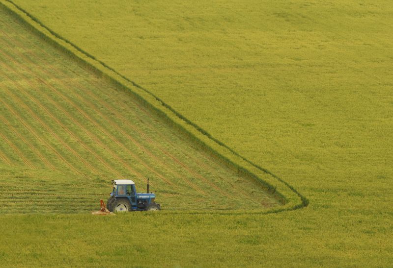 Enhances land appearance